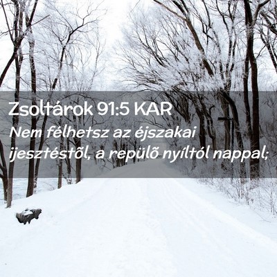 Picture 02 - Zsoltárok 91:5 KAR - Nem félhetsz az éjszakai ijesztéstõl, a - Bible Verse Picture