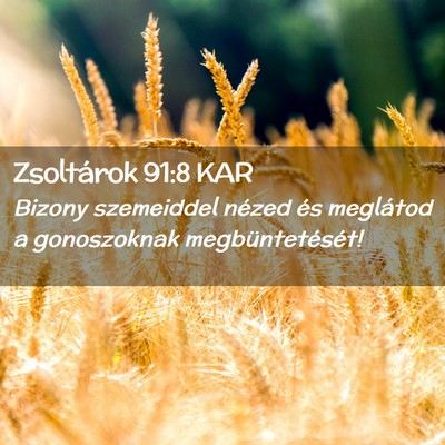 Picture 02 - Zsoltárok 91:8 KAR - Bizony szemeiddel nézed és meglátod a - Bible Verse Picture