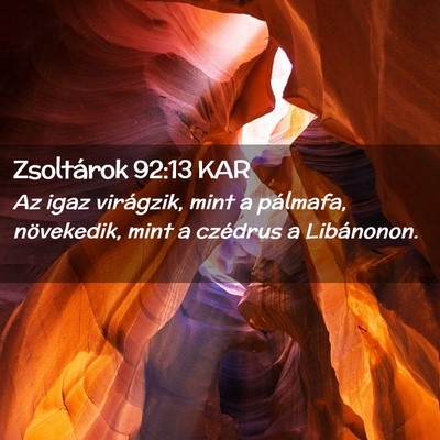 Picture 02 - Zsoltárok 92:13 KAR - Az igaz virágzik, mint a pálmafa, növekedik, - Bible Verse Picture
