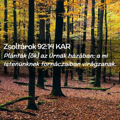 Picture 02 - Zsoltárok 92:14 KAR - Plánták [õk] az Úrnak házában; a mi - Bible Verse Picture