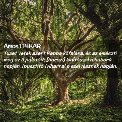 Picture 02 - Ámos 1:14 KAR - Tüzet vetek azért Rabba kõfalára, és az - Bible Verse Picture