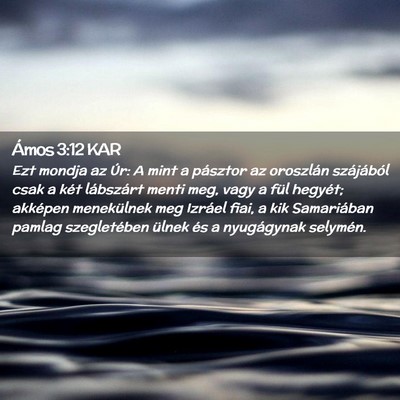 Picture 02 - Ámos 3:12 KAR - Ezt mondja az Úr: A mint a pásztor az oroszlán - Bible Verse Picture