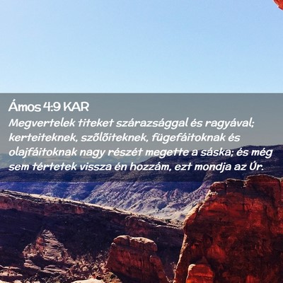 Picture 02 - Ámos 4:9 KAR - Megvertelek titeket szárazsággal és ragyával; - Bible Verse Picture