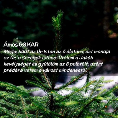 Picture 02 - Ámos 6:8 KAR - Megesküdt az Úr Isten az õ életére; ezt - Bible Verse Picture