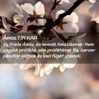 Picture 02 - Ámos 7:14 KAR - És felele Ámós, és mondá Amáziásnak: Nem - Bible Verse Picture