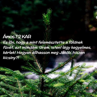 Picture 02 - Ámos 7:2 KAR - És lõn, hogy a mint felemésztette a földnek - Bible Verse Picture