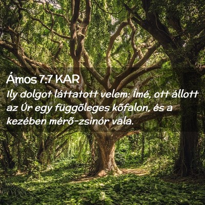 Picture 02 - Ámos 7:7 KAR - Ily dolgot láttatott velem: Ímé, ott állott - Bible Verse Picture