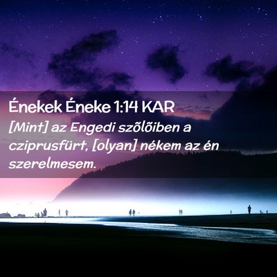 Picture 02 - Énekek Éneke 1:14 KAR - [Mint] az Engedi szõlõiben a cziprusfürt, - Bible Verse Picture
