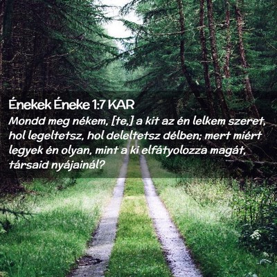 Picture 02 - Énekek Éneke 1:7 KAR - Mondd meg nékem, [te,] a kit az én lelkem - Bible Verse Picture