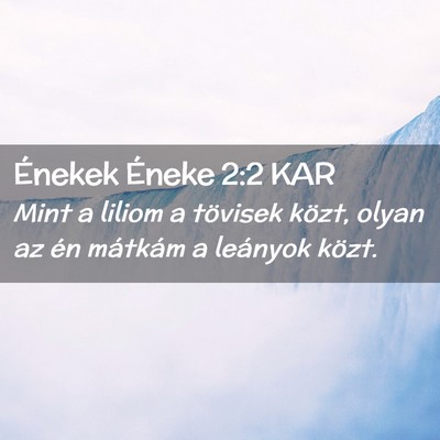 Picture 02 - Énekek Éneke 2:2 KAR - Mint a liliom a tövisek közt, olyan az én - Bible Verse Picture