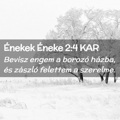 Picture 02 - Énekek Éneke 2:4 KAR - Bevisz engem a borozó házba, és zászló - Bible Verse Picture
