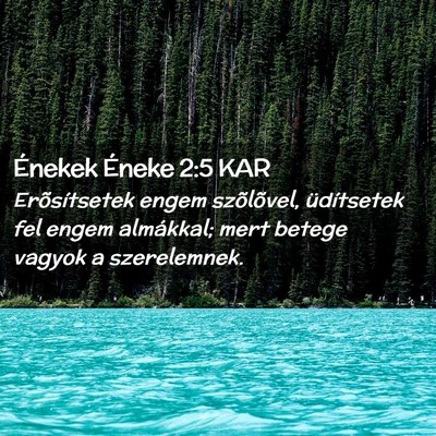 Picture 02 - Énekek Éneke 2:5 KAR - Erõsítsetek engem szõlõvel, üdítsetek fel - Bible Verse Picture