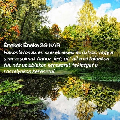 Picture 02 - Énekek Éneke 2:9 KAR - Hasonlatos az én szerelmesem az õzhöz, vagy a - Bible Verse Picture