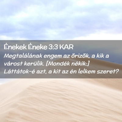 Picture 02 - Énekek Éneke 3:3 KAR - Megtalálának engem az õrizõk, a kik a várost - Bible Verse Picture