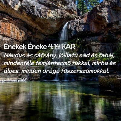 Picture 02 - Énekek Éneke 4:14 KAR - Nárdus és sáfrány, jóillatú nád és - Bible Verse Picture