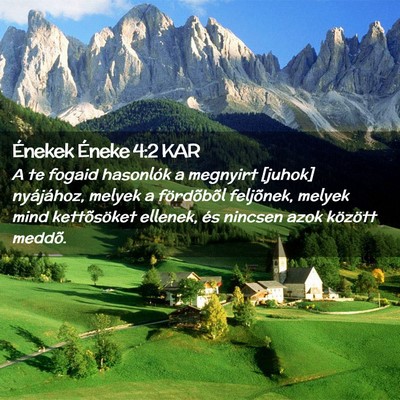 Picture 02 - Énekek Éneke 4:2 KAR - A te fogaid hasonlók a megnyirt [juhok] - Bible Verse Picture
