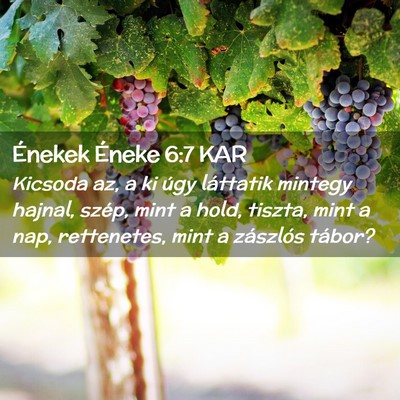 Picture 02 - Énekek Éneke 6:7 KAR - Kicsoda az, a ki úgy láttatik mintegy hajnal, - Bible Verse Picture