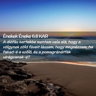 Picture 02 - Énekek Éneke 6:8 KAR - A diófás kertekbe mentem vala alá, hogy a - Bible Verse Picture