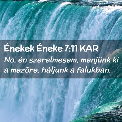 Picture 02 - Énekek Éneke 7:11 KAR - No, én szerelmesem, menjünk ki a mezõre, - Bible Verse Picture
