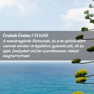 Picture 02 - Énekek Éneke 7:13 KAR - A mandragórák illatoznak, és a mi ajtónk - Bible Verse Picture