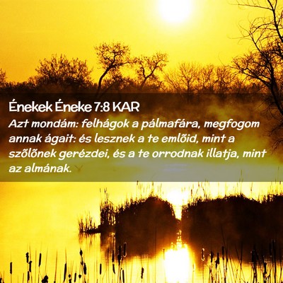 Picture 02 - Énekek Éneke 7:8 KAR - Azt mondám: felhágok a pálmafára, megfogom - Bible Verse Picture
