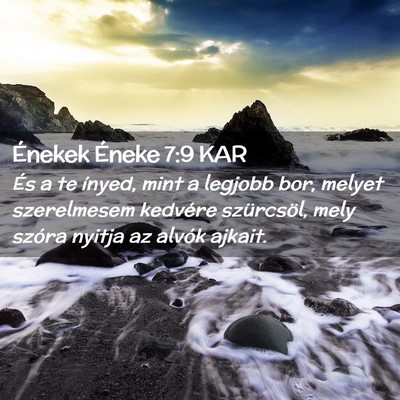 Picture 02 - Énekek Éneke 7:9 KAR - És a te ínyed, mint a legjobb bor, melyet - Bible Verse Picture