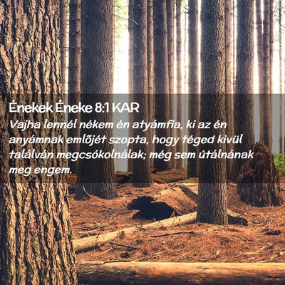 Picture 02 - Énekek Éneke 8:1 KAR - Vajha lennél nékem én atyámfia, ki az én - Bible Verse Picture