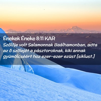 Picture 02 - Énekek Éneke 8:11 KAR - Szõlõje volt Salamonnak Baálhamonban, adta az - Bible Verse Picture