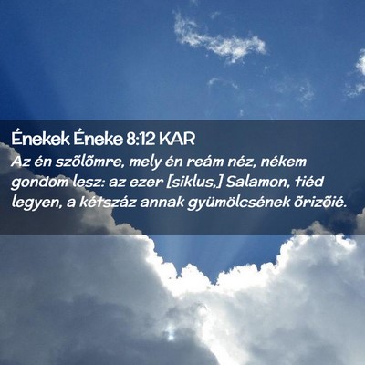 Picture 02 - Énekek Éneke 8:12 KAR - Az én szõlõmre, mely én reám néz, nékem - Bible Verse Picture
