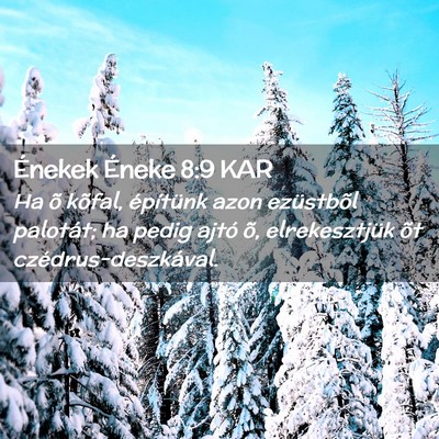 Picture 02 - Énekek Éneke 8:9 KAR - Ha õ kõfal, építünk azon ezüstbõl - Bible Verse Picture