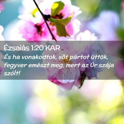 Picture 02 - Ézsaiás 1:20 KAR - És ha vonakodtok, sõt pártot üttök, fegyver - Bible Verse Picture