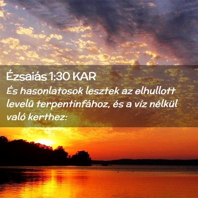 Picture 02 - Ézsaiás 1:30 KAR - És hasonlatosok lesztek az elhullott levelû - Bible Verse Picture