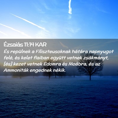 Picture 02 - Ézsaiás 11:14 KAR - És repülnek a Filiszteusoknak hátára - Bible Verse Picture