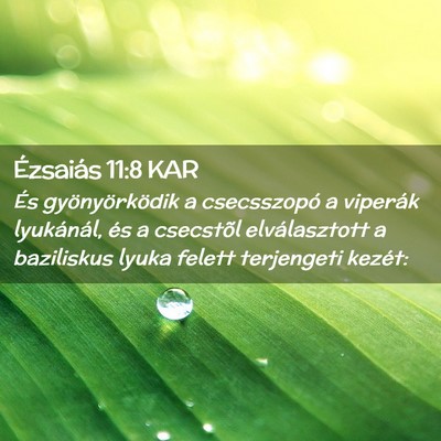 Picture 02 - Ézsaiás 11:8 KAR - És gyönyörködik a csecsszopó a viperák - Bible Verse Picture