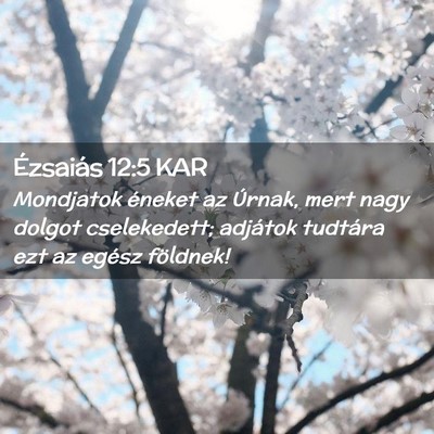 Picture 02 - Ézsaiás 12:5 KAR - Mondjatok éneket az Úrnak, mert nagy dolgot - Bible Verse Picture