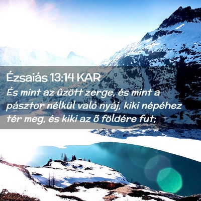 Picture 02 - Ézsaiás 13:14 KAR - És mint az ûzött zerge, és mint a pásztor - Bible Verse Picture