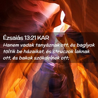 Picture 02 - Ézsaiás 13:21 KAR - Hanem vadak tanyáznak ott, és baglyok töltik - Bible Verse Picture