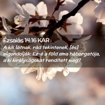 Picture 02 - Ézsaiás 14:16 KAR - A kik látnak, rád tekintenek, [és] - Bible Verse Picture