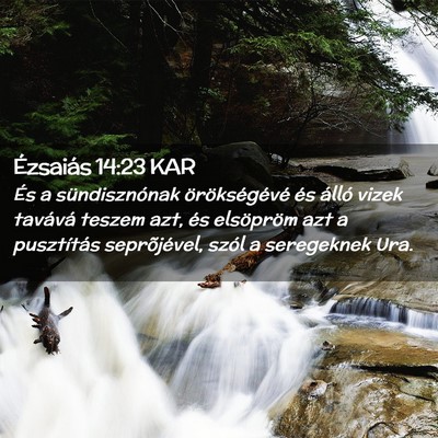 Picture 02 - Ézsaiás 14:23 KAR - És a sündisznónak örökségévé és álló - Bible Verse Picture