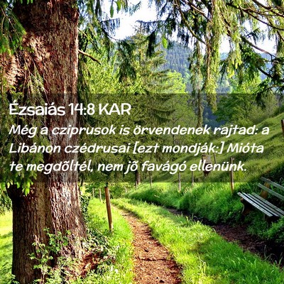 Picture 02 - Ézsaiás 14:8 KAR - Még a cziprusok is örvendenek rajtad: a - Bible Verse Picture