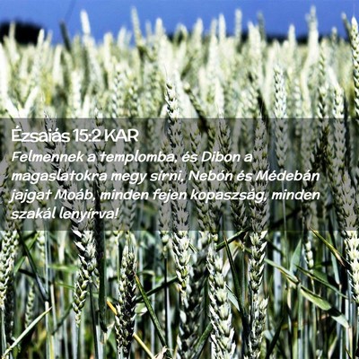 Picture 02 - Ézsaiás 15:2 KAR - Felmennek a templomba, és Dibon a magaslatokra - Bible Verse Picture