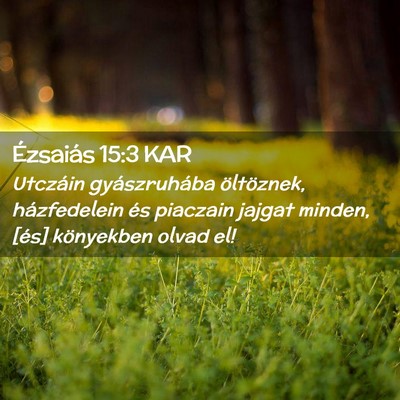 Picture 02 - Ézsaiás 15:3 KAR - Utczáin gyászruhába öltöznek, házfedelein - Bible Verse Picture