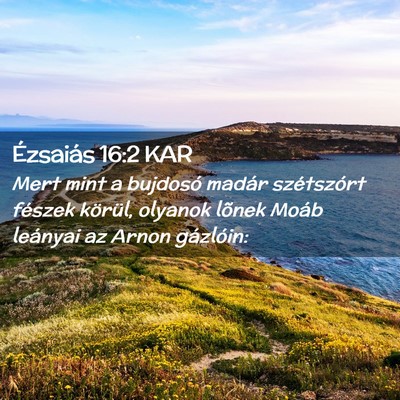 Picture 02 - Ézsaiás 16:2 KAR - Mert mint a bujdosó madár szétszórt fészek - Bible Verse Picture