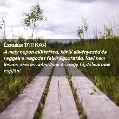 Picture 02 - Ézsaiás 17:11 KAR - A mely napon elültetted, körül sövényezéd - Bible Verse Picture