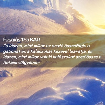 Picture 02 - Ézsaiás 17:5 KAR - És lészen, mint mikor az arató összefogja a - Bible Verse Picture