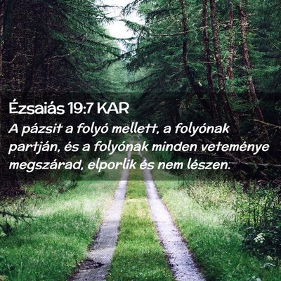 Picture 02 - Ézsaiás 19:7 KAR - A pázsit a folyó mellett, a folyónak partján, - Bible Verse Picture