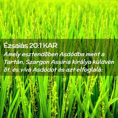 Picture 02 - Ézsaiás 20:1 KAR - Amely esztendõben Asdódba ment a Tartán, - Bible Verse Picture