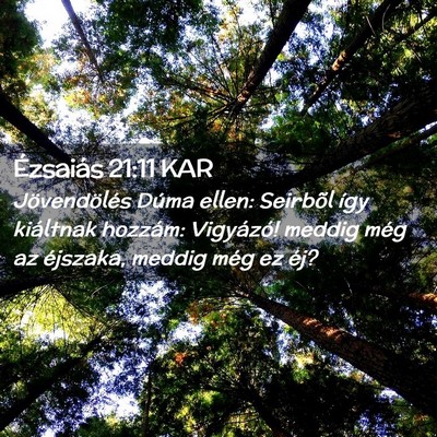 Picture 02 - Ézsaiás 21:11 KAR - Jövendölés Dúma ellen: Seirbõl így - Bible Verse Picture