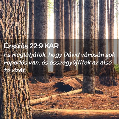 Picture 02 - Ézsaiás 22:9 KAR - És meglátjátok, hogy Dávid városán sok - Bible Verse Picture