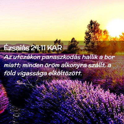 Picture 02 - Ézsaiás 24:11 KAR - Az utczákon panaszkodás hallik a bor miatt; - Bible Verse Picture